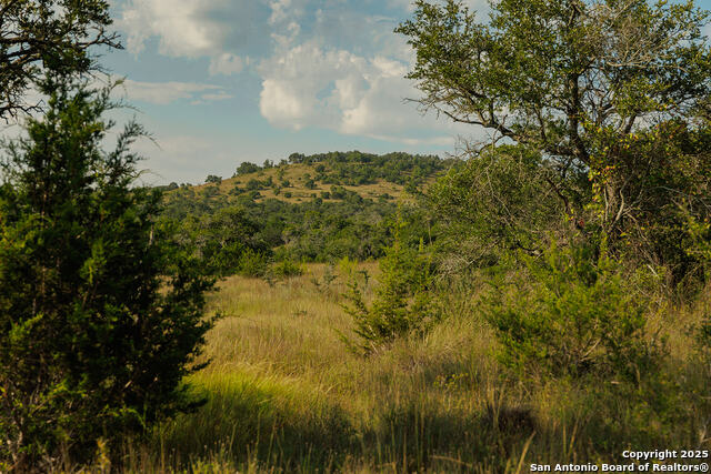 Image 44 of 59 For 3067 Ranch Road 1888