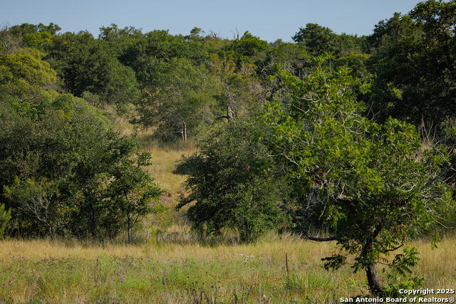 Image 46 of 59 For 3067 Ranch Road 1888