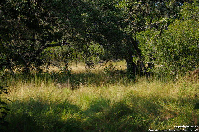 Image 48 of 59 For 3067 Ranch Road 1888
