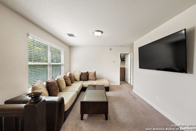 Listing photo id 19 for 10410 Pecan Crst