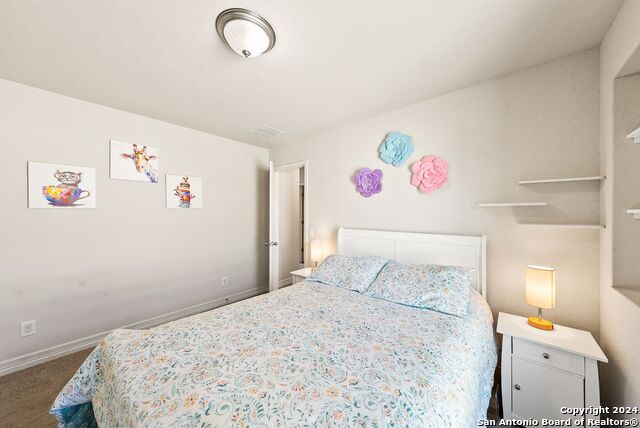 Listing photo id 24 for 10410 Pecan Crst