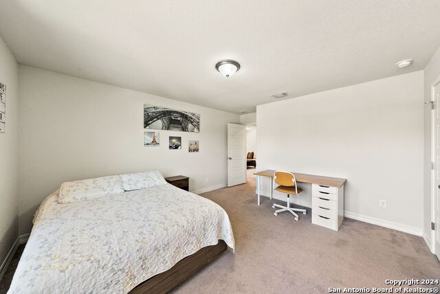 Listing photo id 28 for 10410 Pecan Crst