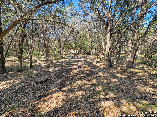 Image 3 of 45 For 28220 Bonn Mountain