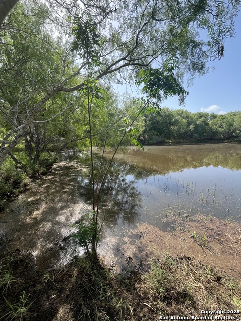 Image 11 of 21 For 707 Deer Trail