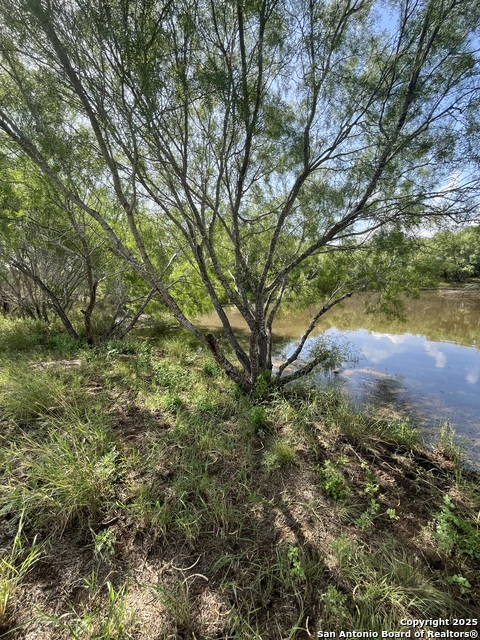 Image 15 of 21 For 707 Deer Trail