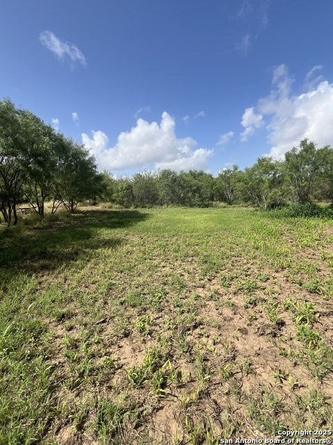 Image 5 of 21 For 707 Deer Trail