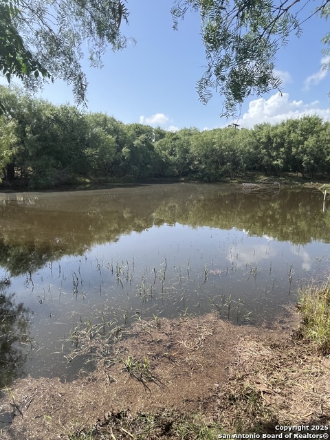 Image 6 of 21 For 707 Deer Trail