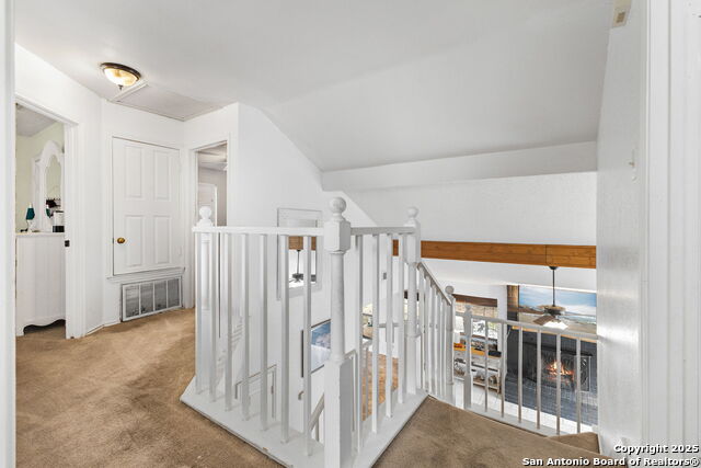 Image 17 of 29 For 2609 Cotton King