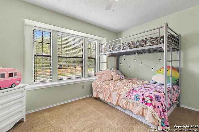 Image 19 of 29 For 2609 Cotton King