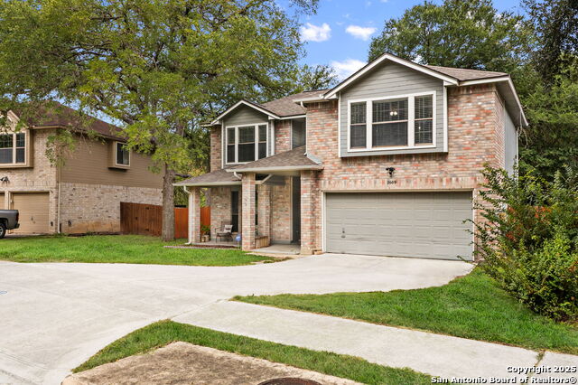 Image 2 of 29 For 2609 Cotton King