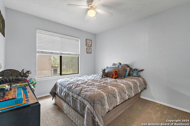 Image 20 of 29 For 2609 Cotton King