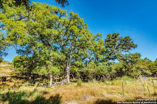 Image 11 of 26 For 530 Stallion Estates Dr