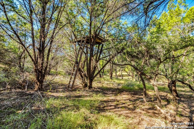 Image 13 of 26 For 530 Stallion Estates Dr