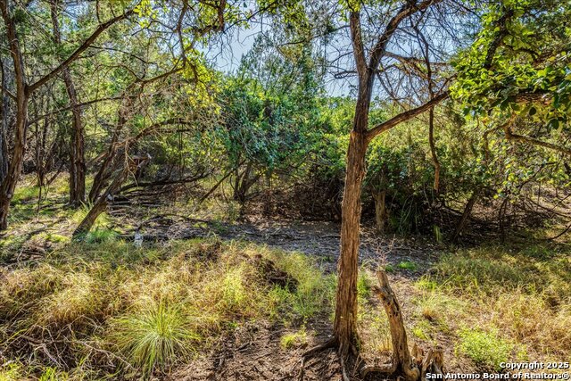 Image 14 of 26 For 530 Stallion Estates Dr