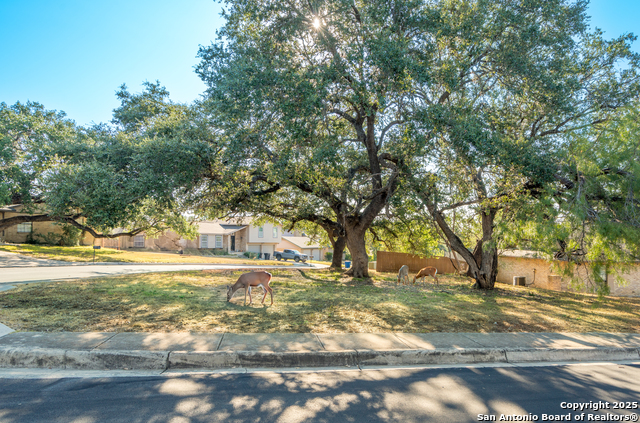 Image 6 of 45 For 1723 Autumn Woods Street