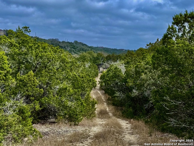 Listing photo id 0 for 9852 Marnoch Rd