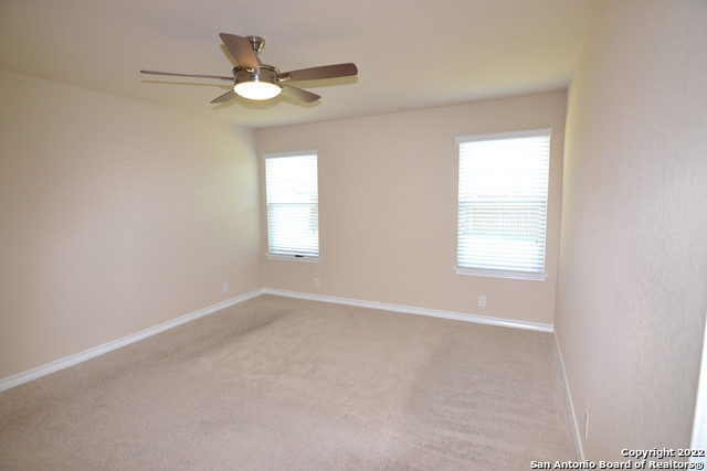 Image 10 of 18 For 15525 Gray Catbird