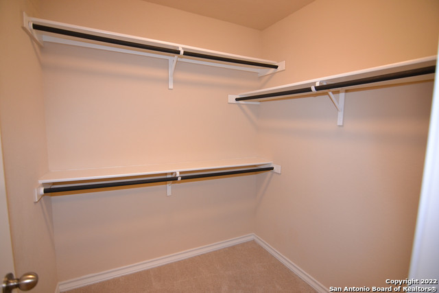 Image 13 of 18 For 15525 Gray Catbird