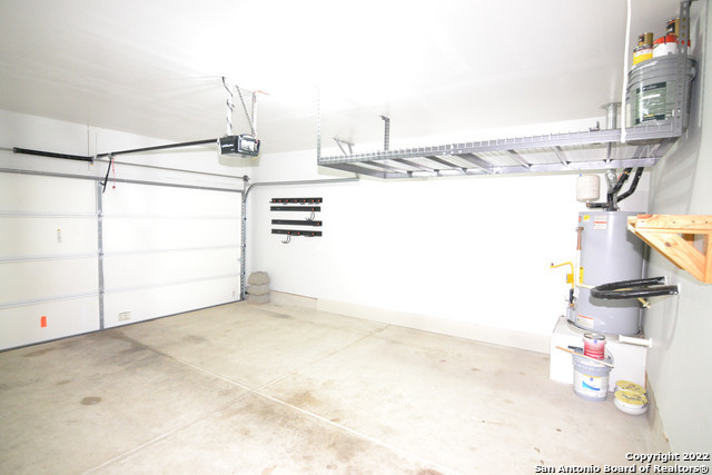 Image 14 of 18 For 15525 Gray Catbird