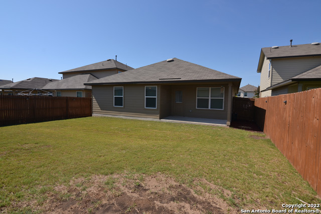 Image 16 of 18 For 15525 Gray Catbird