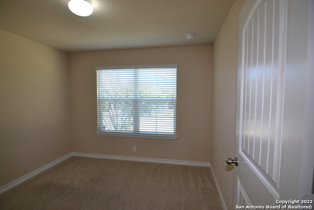 Image 5 of 18 For 15525 Gray Catbird