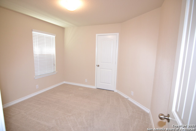 Image 6 of 18 For 15525 Gray Catbird