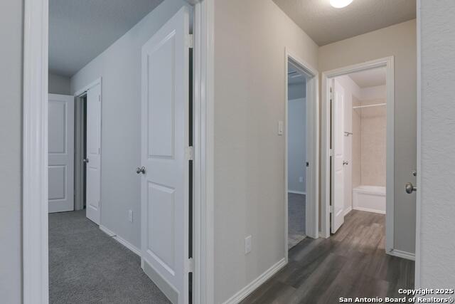 Image 19 of 30 For 242 Holland Park