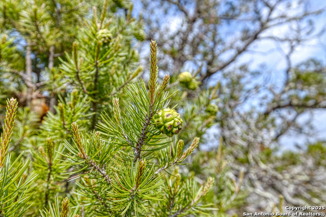 Image 21 of 39 For 824 S Pinon Loop