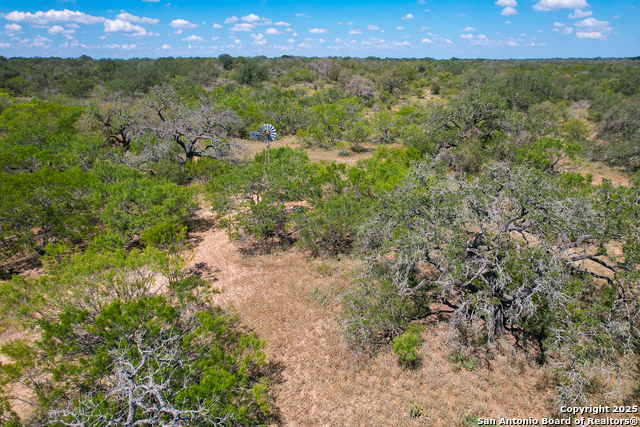 Listing photo id 13 for 595 Sir David