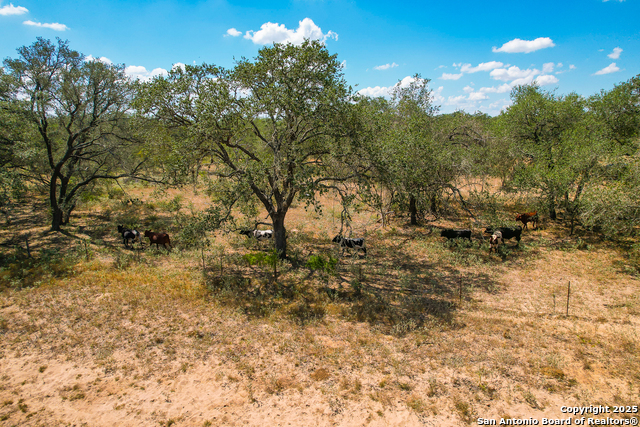 Listing photo id 18 for 595 Sir David