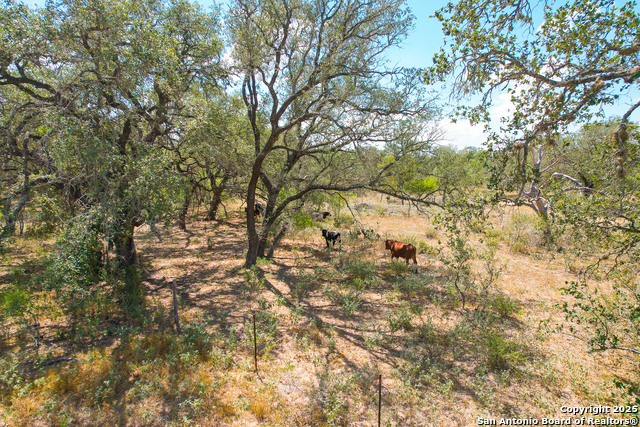 Listing photo id 19 for 595 Sir David