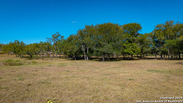 Image 17 of 42 For 2434 Warncke