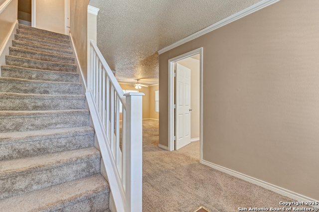 Image 3 of 26 For 8103 Grimchester