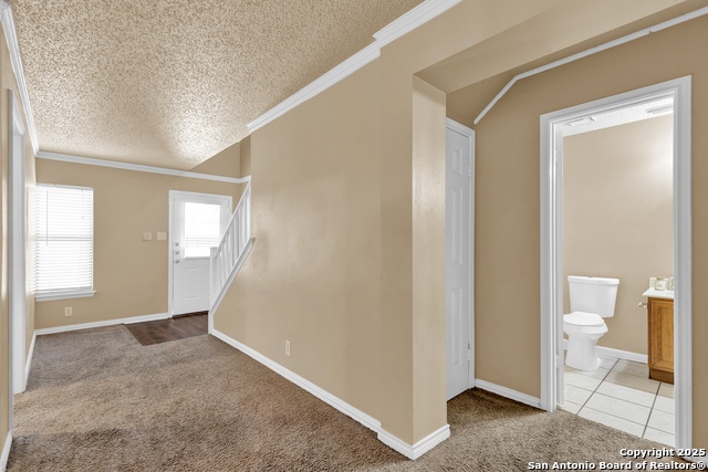 Image 8 of 26 For 8103 Grimchester