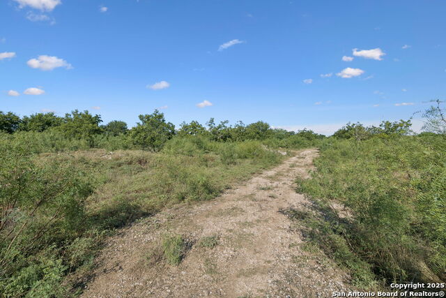 Image 15 of 49 For 13146 Galm Road
