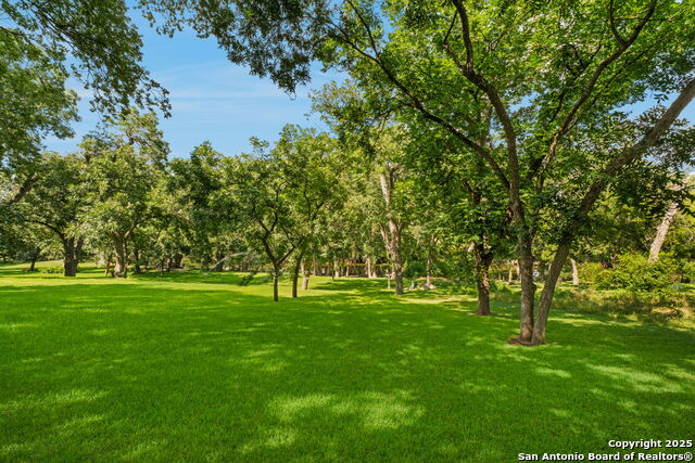 Listing photo id 22 for 1403 San Jacinto