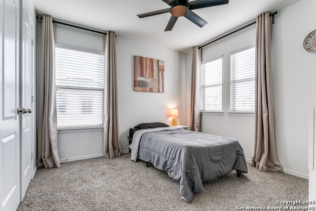 Image 17 of 25 For 8434 Picoso