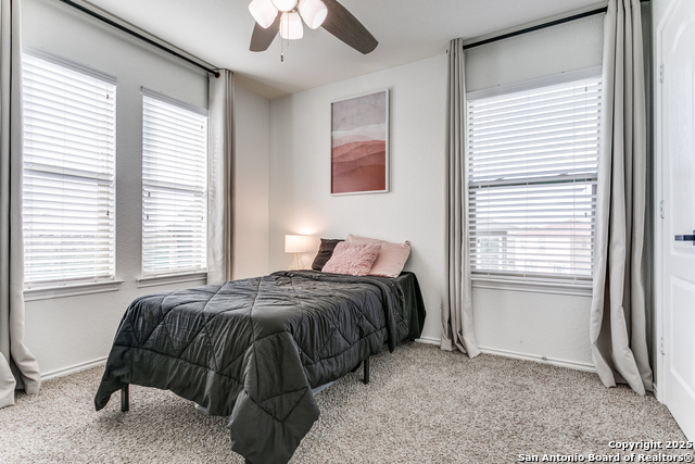 Image 18 of 25 For 8434 Picoso