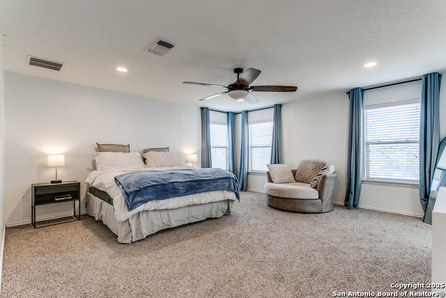 Image 20 of 25 For 8434 Picoso