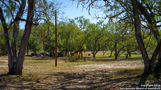 Image 13 of 42 For 2434 Warncke