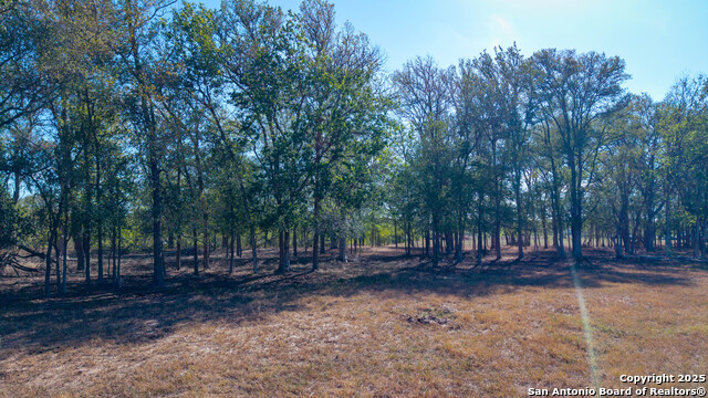 Image 18 of 42 For 2434 Warncke