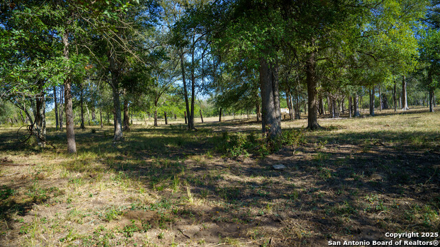 Image 19 of 42 For 2434 Warncke