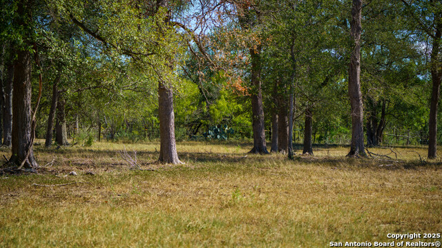 Image 21 of 42 For 2434 Warncke