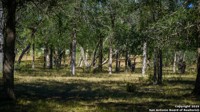 Image 22 of 42 For 2434 Warncke