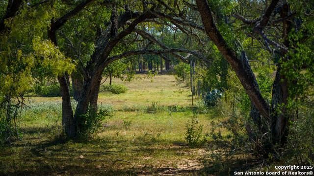 Image 24 of 42 For 2434 Warncke