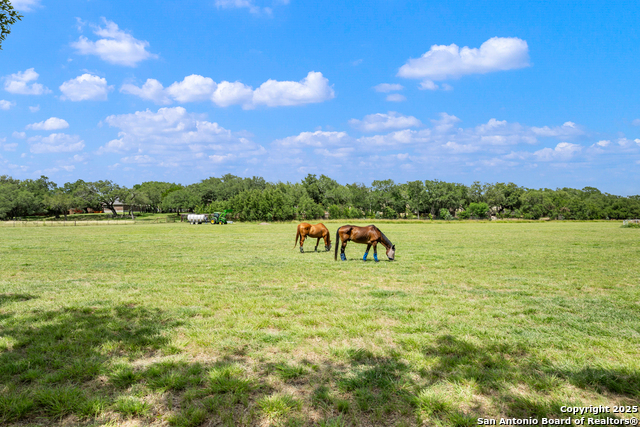Listing photo id 80 for 30350 Ralph Fair Road