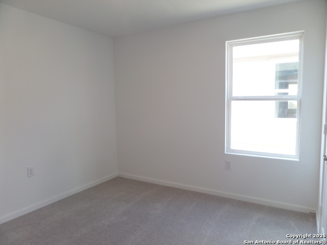 Image 5 of 12 For 10646 Vesta Curve