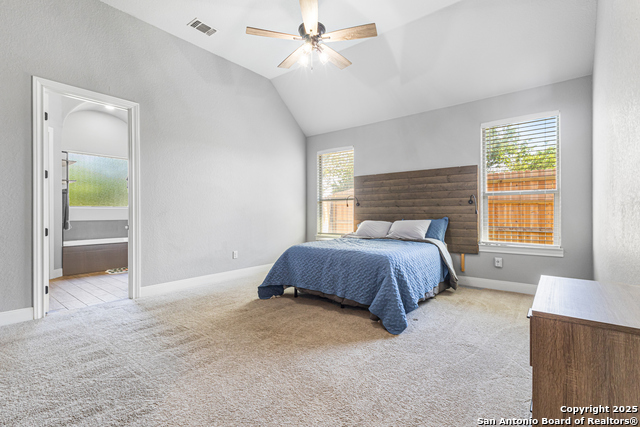 Image 21 of 39 For 291 Strasbourg