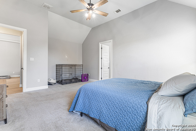 Image 22 of 39 For 291 Strasbourg