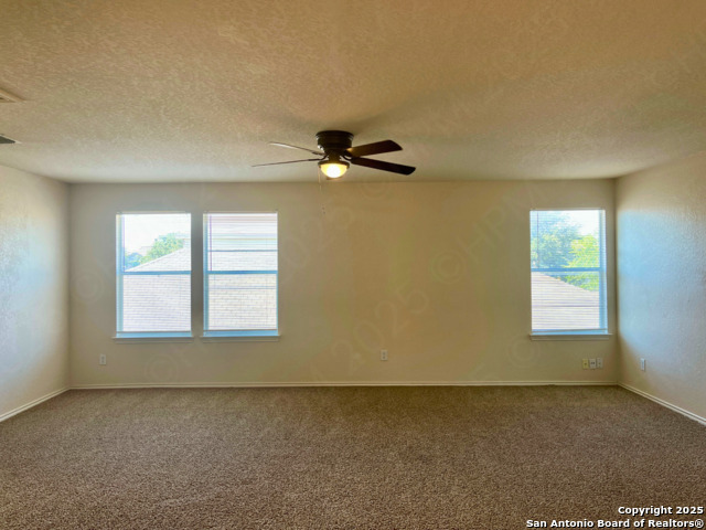 Image 11 of 21 For 11027 Chicory Field